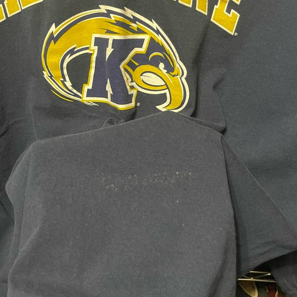 Kent State University golden flashes Eagles long sleeve crewneck sports shirt - Picture 3 of 6